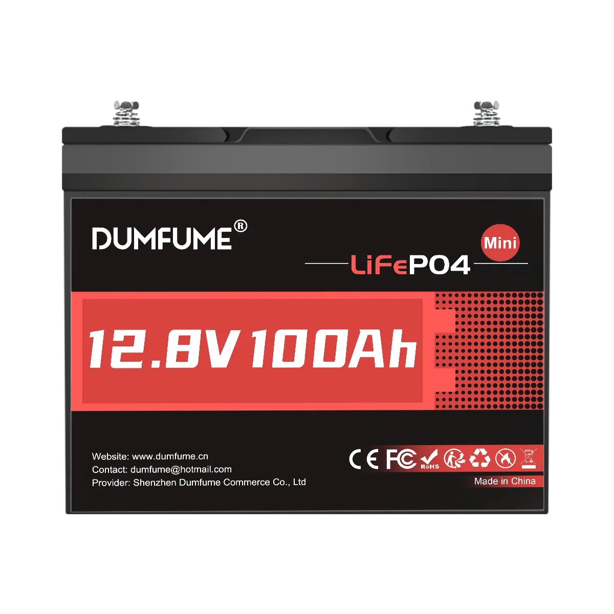 Dumfume 12V 100Ah Mini Deep Cycle Rechargeable LiFePO4 Battery