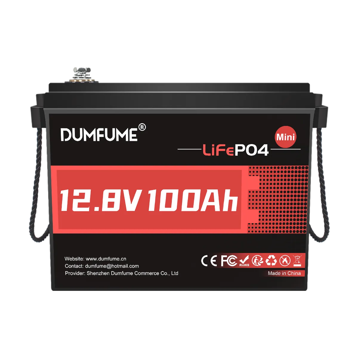 Dumfume 12V 100Ah Mini Max Deep Cycle Rechargeable LiFePO4 Battery for RV Camping Solar Off-Grid