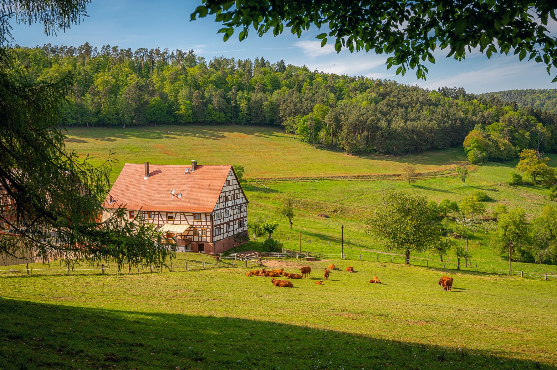 Case Study: How Dumfume Batteries Helped Green Valley Farm Reduce Energy Costs by 40%
