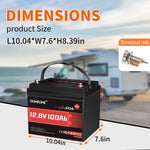 Dumfume 12V 100Ah Mini  Max Deep Cycle Rechargeable LiFePO4 Battery for RV Camping Solar Off-Grid