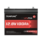 Dumfume 12V 100Ah Mini Deep Cycle Rechargeable LiFePO4 Battery