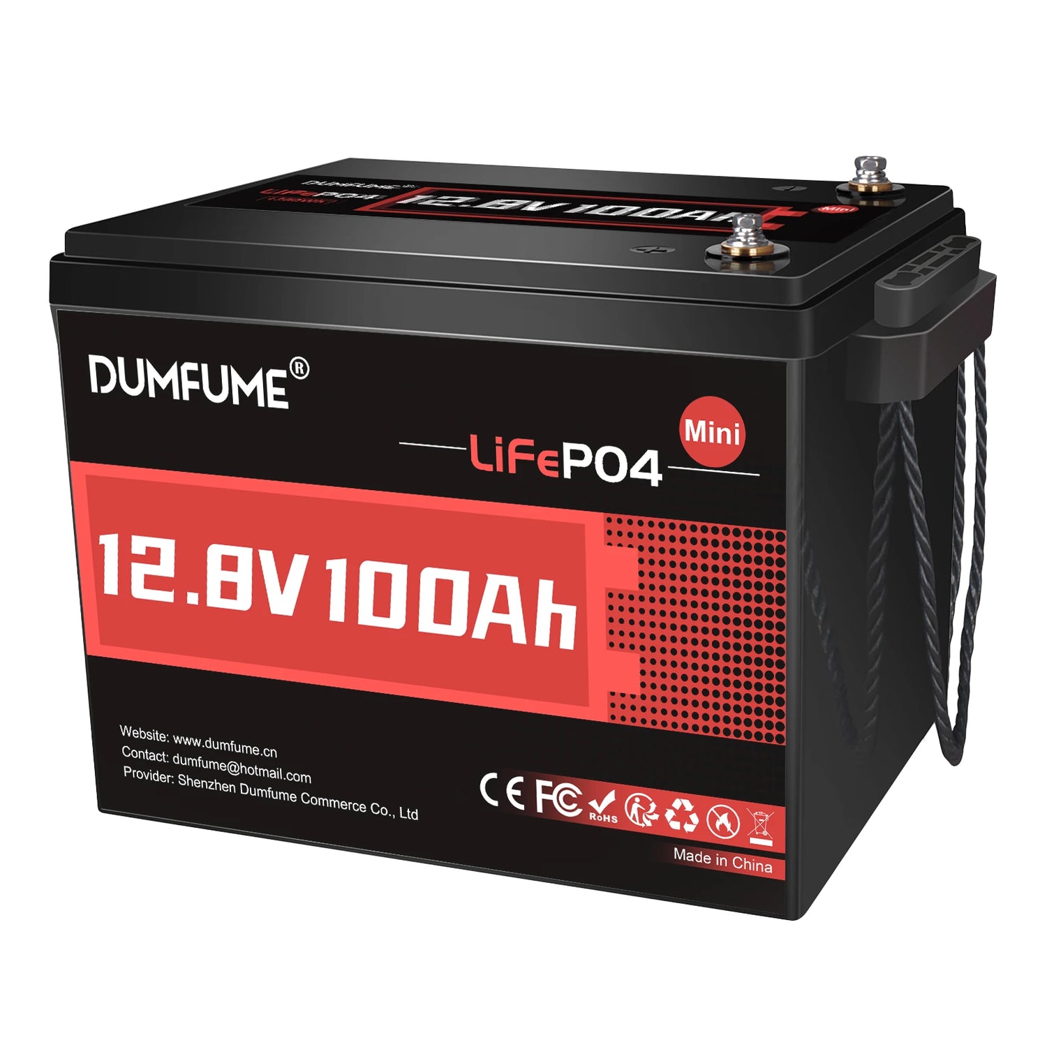 Dumfume 12V 100Ah Mini  Max Deep Cycle Rechargeable LiFePO4 Battery for RV Camping Solar Off-Grid