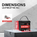 dumfume battery website 12V 100Ah dimensions