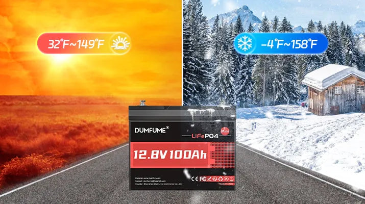 Dumfume 12V 100Ah Mini Deep Cycle Rechargeable LiFePO4 Battery