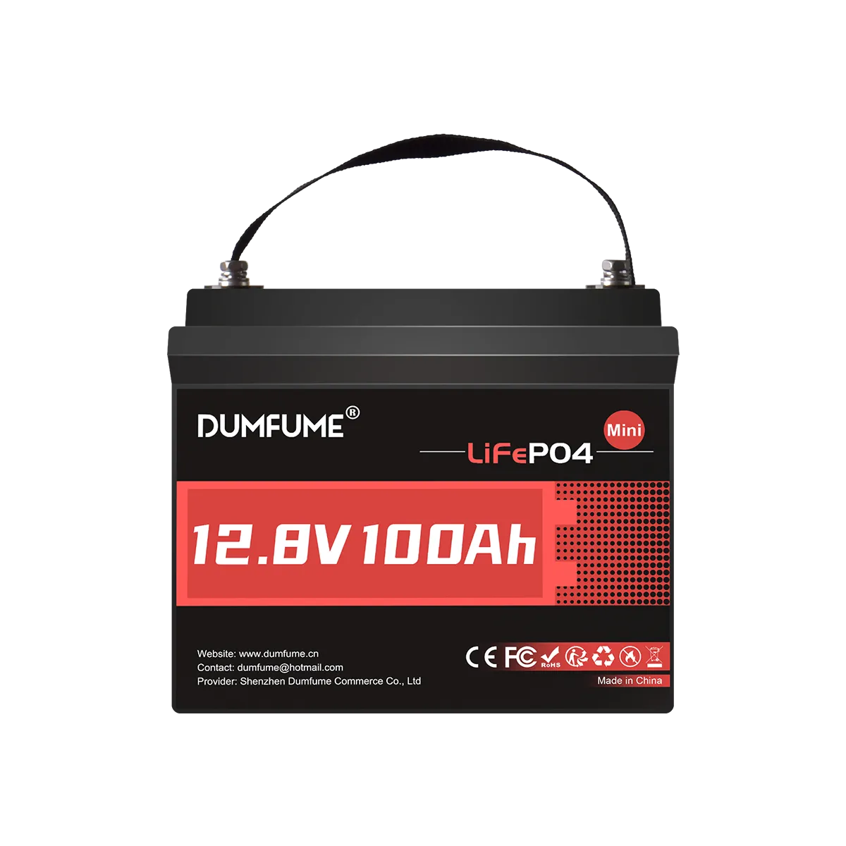 Dumfume 12V 100Ah Mini  Max Deep Cycle Rechargeable LiFePO4 Battery for RV Camping Solar Off-Grid