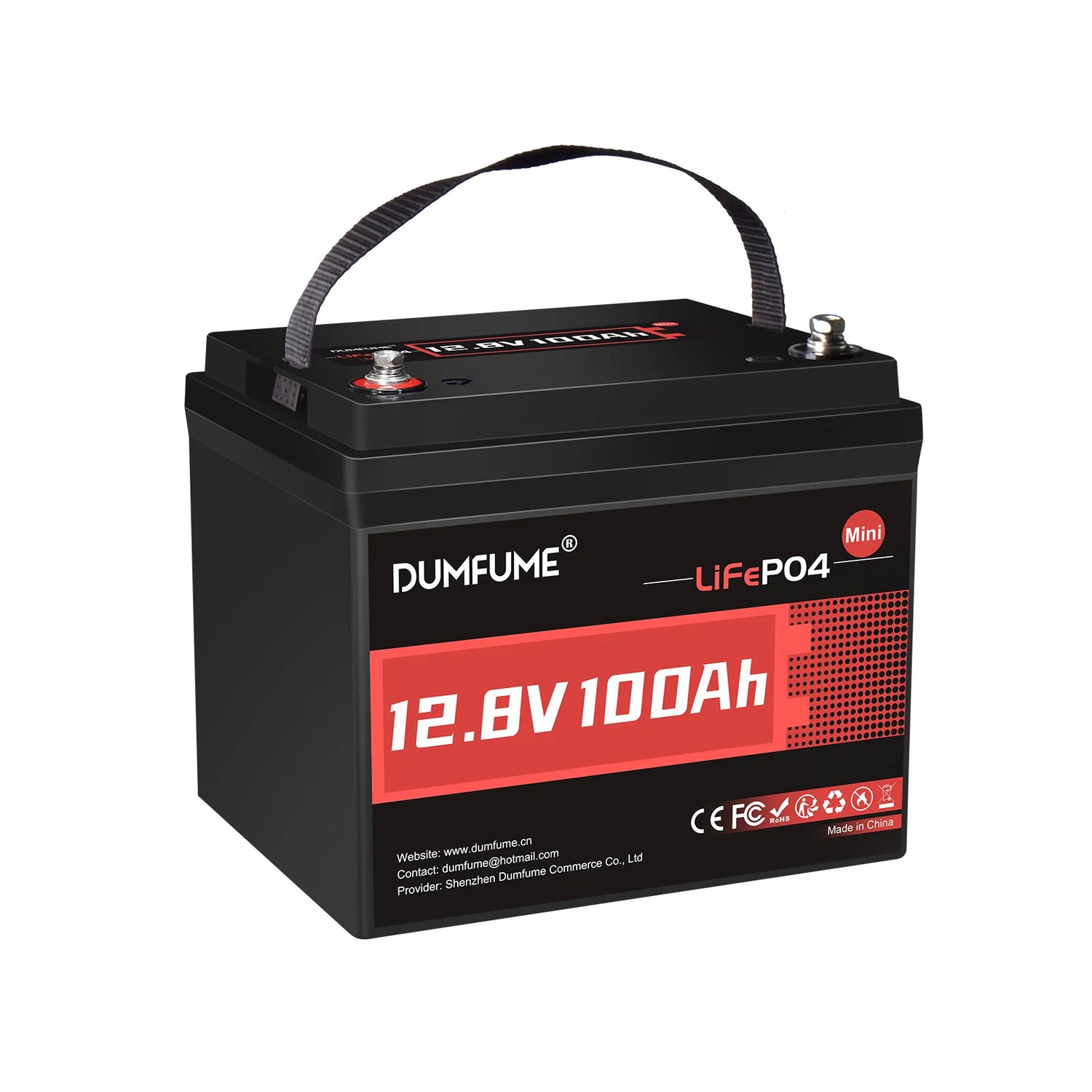 Dumfume 12V 100Ah Mini  Max Deep Cycle Rechargeable LiFePO4 Battery for RV Camping Solar Off-Grid